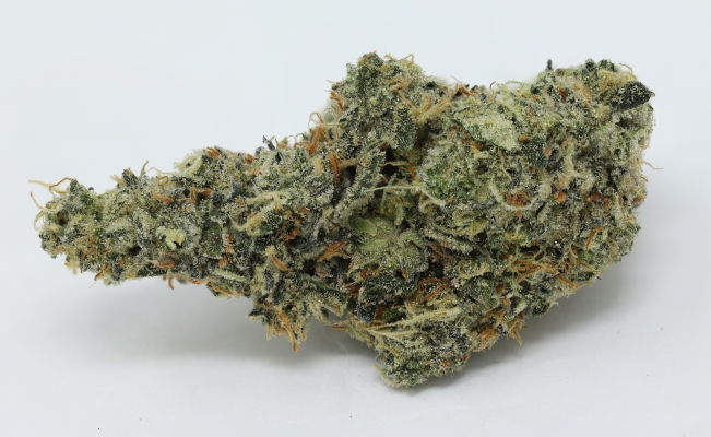 Mail order 420